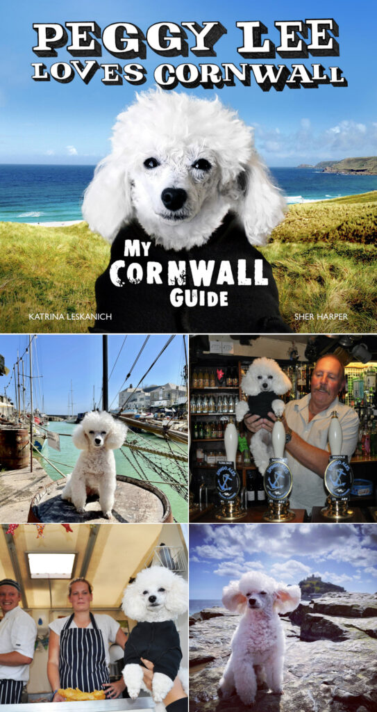 Road Trip Cornwall